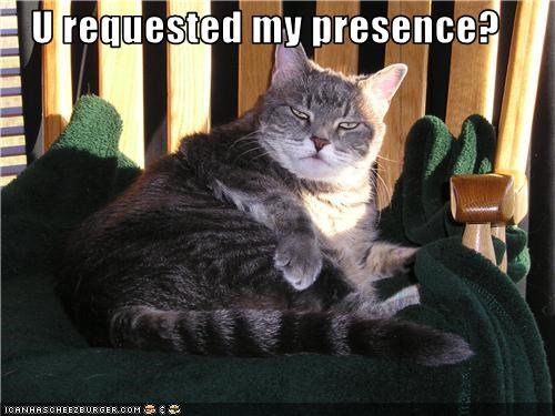 U requested my presence?