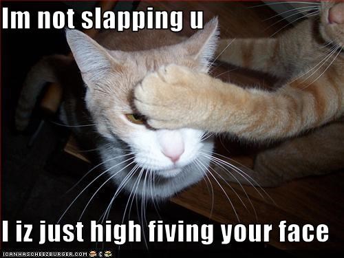 Im not slapping u  I iz just high fiving your face