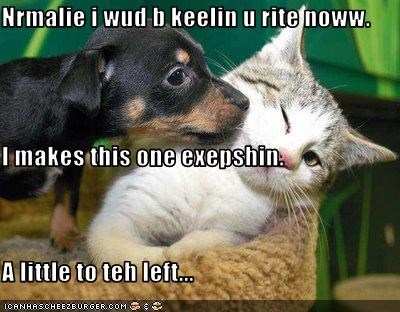 Nrmalie i wud b keelin u rite noww. I makes this one exepshin. A little to teh left...