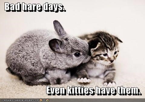 Bad hare days.