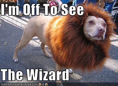 The Cowardly...Lion?