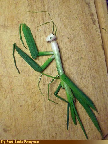 Scallion Mantis