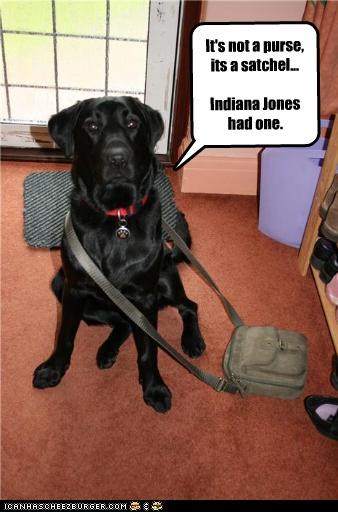 It's not a purse, its a satchel...  Indiana Jones had one.