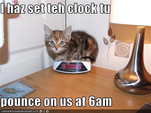 I haz set teh clock