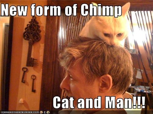 New form of Chimp  Cat and Man!!!