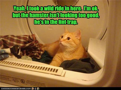 Yeah, I took a wild ride in here.  I'm ok, but the hamster isn't looking too good, he's in the lint trap.