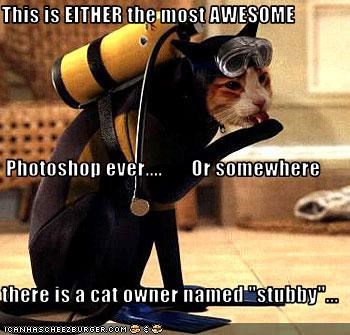 This is EITHER the most AWESOME   Photoshop ever....       Or somewhere there is a cat owner named "stubby"...