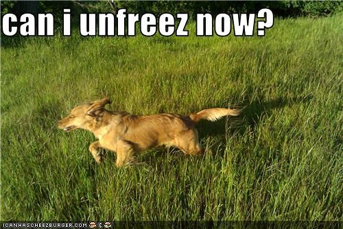 can i unfreez now?