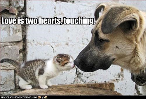 Love is two hearts, touching.