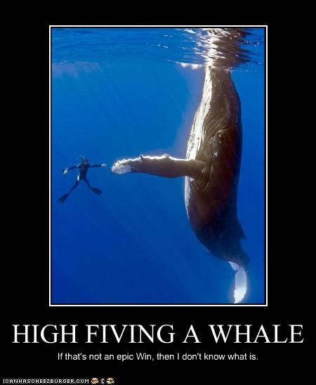HIGH FIVING A WHALE