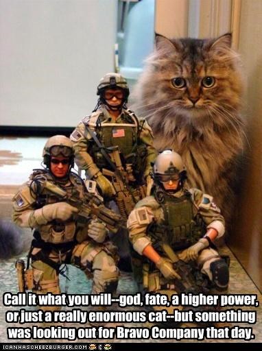 Call it what you will--god, fate, a higher power, or just a really enormous cat--but something was looking out for Bravo Company that day.