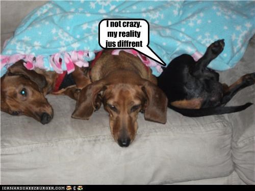 I not crazy. my reality jus diffrent