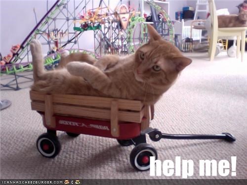 help me!