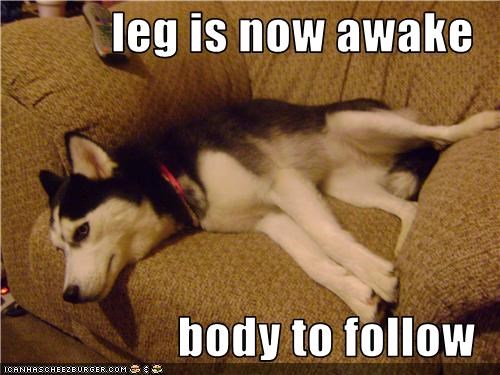 leg is now awake  body to follow