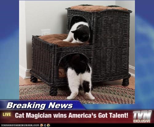 Breaking News -  Cat Magician wins America's Got Talent!