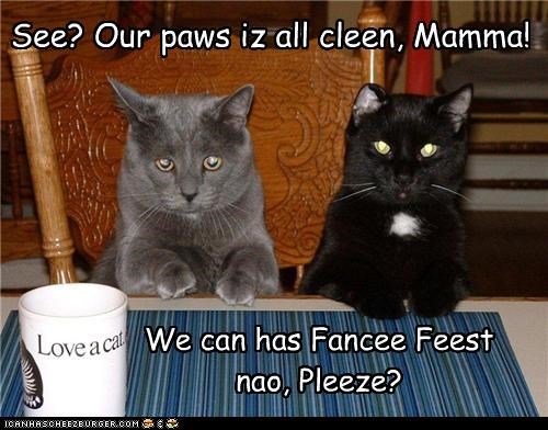 See? Our paws iz all cleen, Mamma!