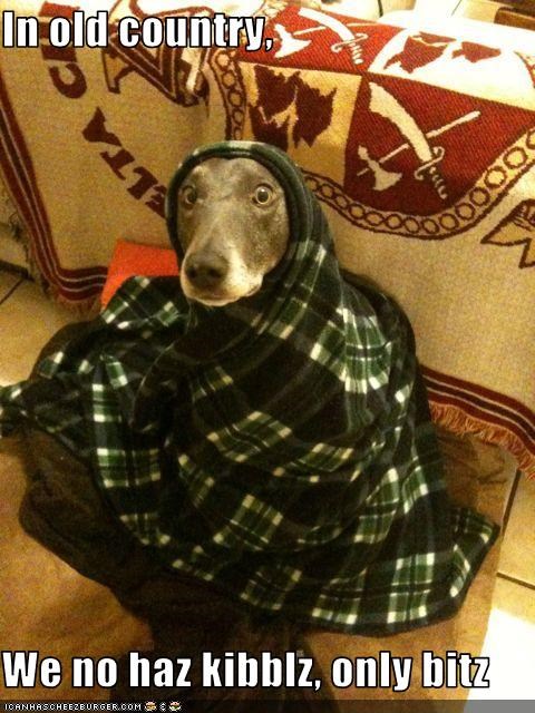 In old country,   We no haz kibblz, only bitz