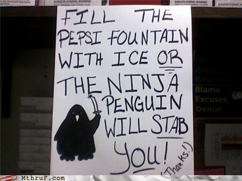 The Ninja Penguin Is NOT Amused