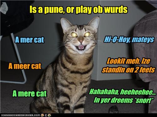 Is a pune, or play ob wurds