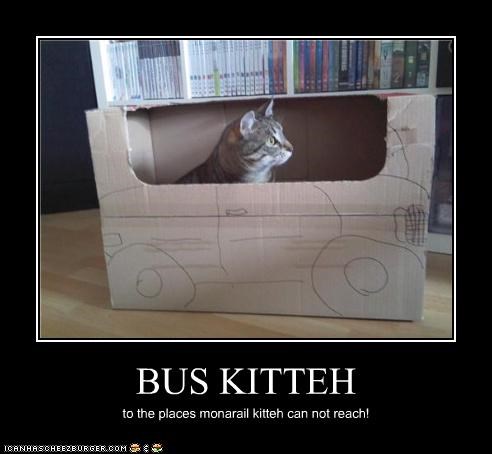 BUS KITTEH