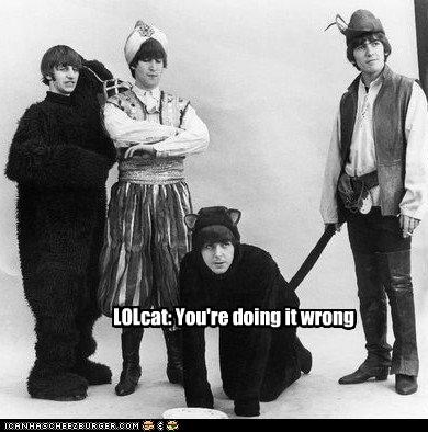LOLcat: You're doing it wrong