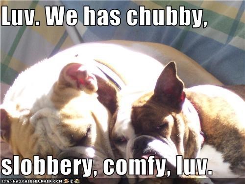 Luv. We has chubby,   slobbery, comfy, luv.