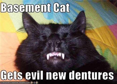 Basement Cat  Gets evil new dentures