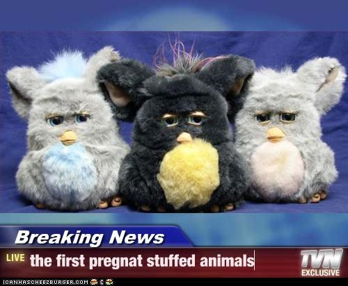 Breaking News - the first pregnat stuffed animals