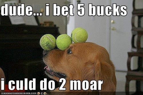 dude... i bet 5 bucks  i culd do 2 moar