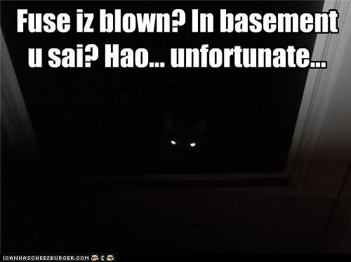 Fuse iz blown? In basement u sai? Hao... unfortunate...