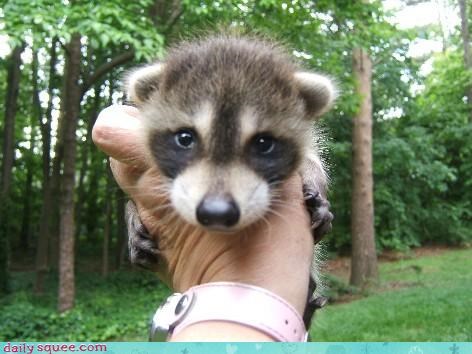 Sneaky Baby