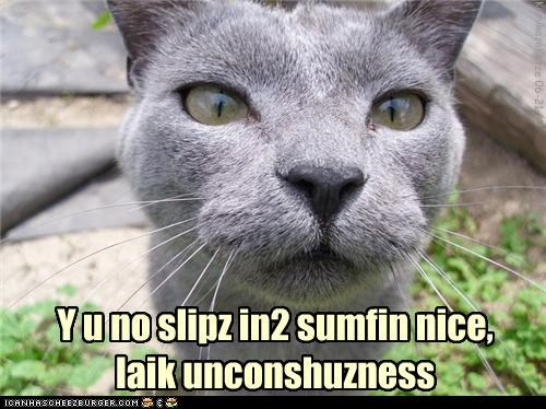 Y u no slipz in2 sumfin nice, laik unconshuzness