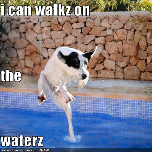i can walkz on  the  waterz