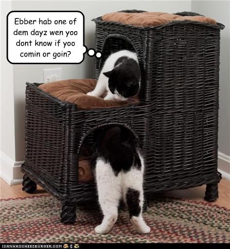 Ebber hab one of dem dayz wen yoo dont know if yoo comin or goin?