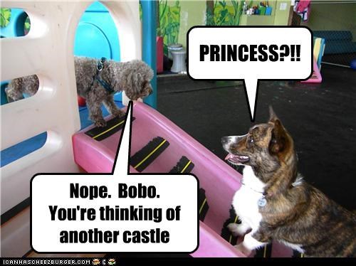 PRINCESS?!!