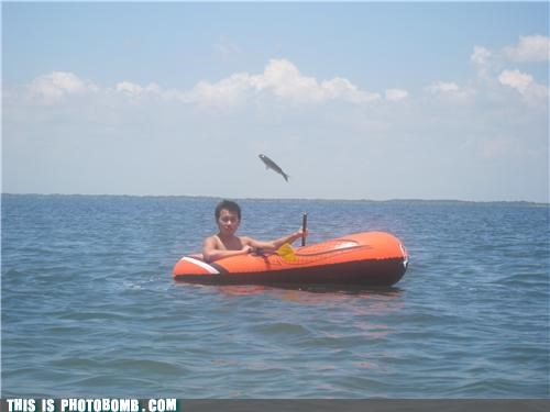 Fish Bomb