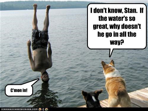 I don't know, Stan.  If the water's so great, why doesn't he go in all the way?