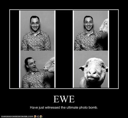 EWE