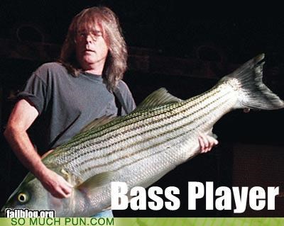I Smell Something Funky, Dare I Say Fishy