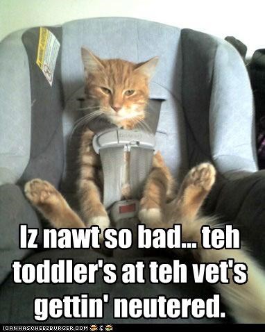 I luv when Dad watches teh kids...