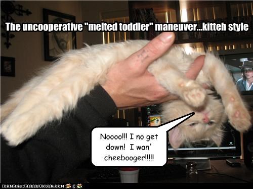 The uncooperative "melted toddler" maneuver...kitteh style