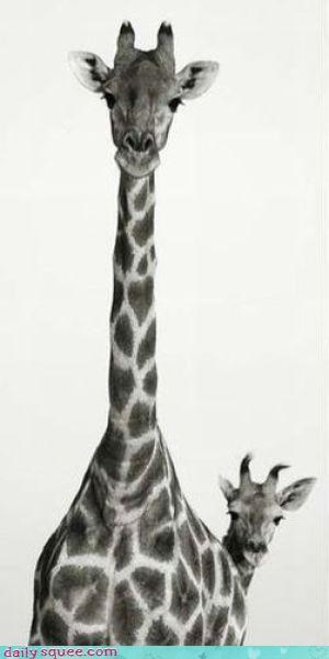Nice Hiding Job, Giraffe