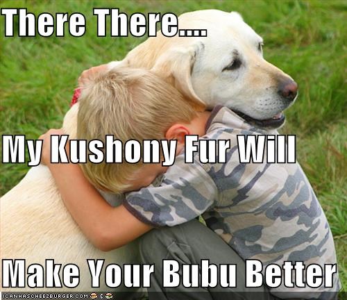 There There.... My Kushony Fur Will Make Your Bubu Better