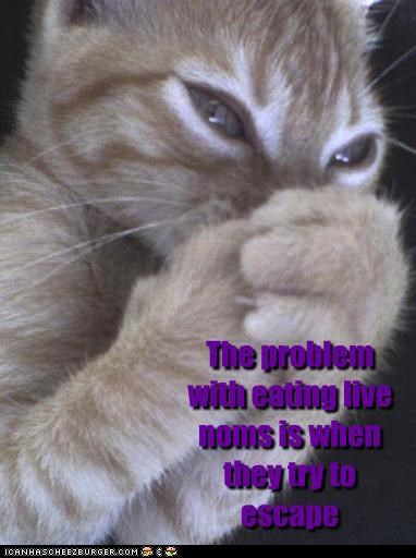 The problem with eating live noms is when they try to escape
