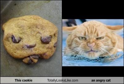 This cookie Totally Looks Like an angry cat