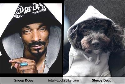 Snoop Dogg Totally Looks Like Sleepy Dogg