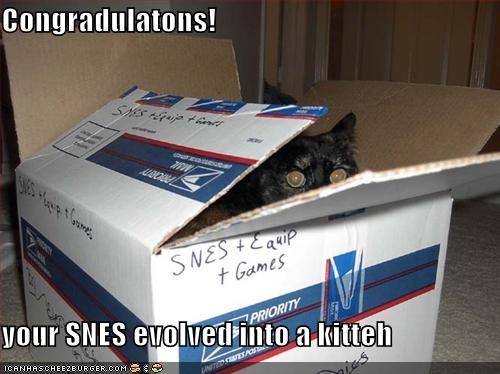Congradulatons!  your SNES evolved into a kitteh