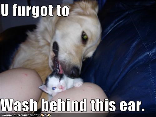 U furgot to   Wash behind this ear.