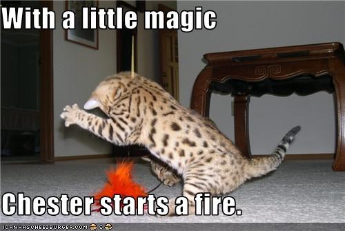 With a little magic  Chester starts a fire.