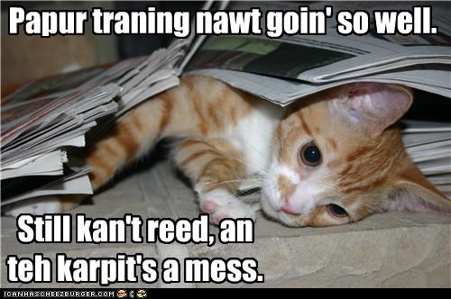Papur traning nawt goin' so well.